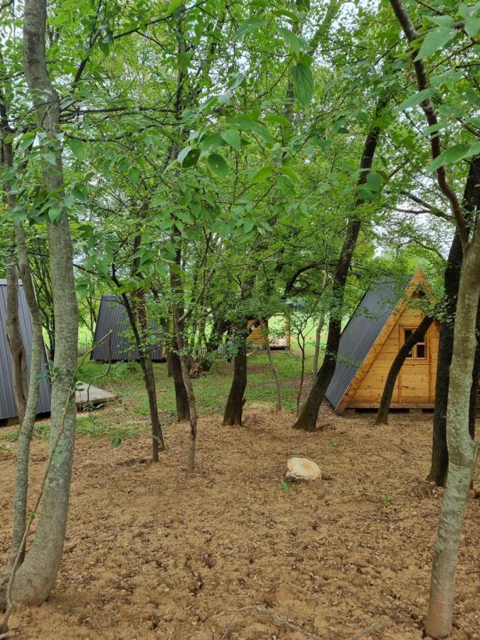 Wolf & Sheep Nature & Adventure Podgorica Exterior photo