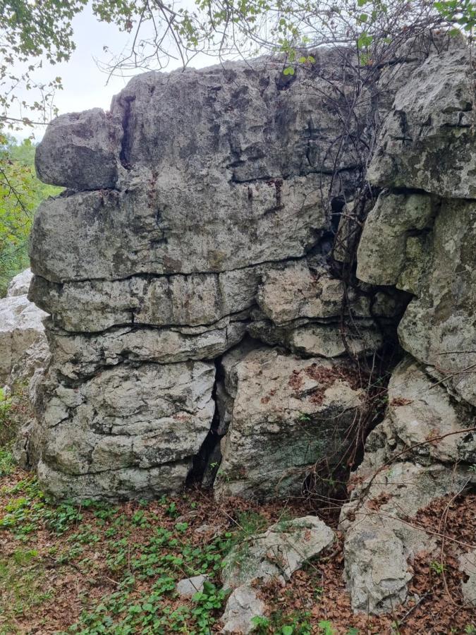 Wolf & Sheep Nature & Adventure Podgorica Exterior photo
